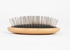 Picture of The Sentinel T31 Eco Style Palm Brush
